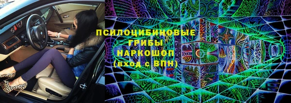 герыч Алексин