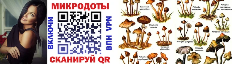 blacksprut сайт  Палласовка  Псилоцибиновые грибы мицелий 